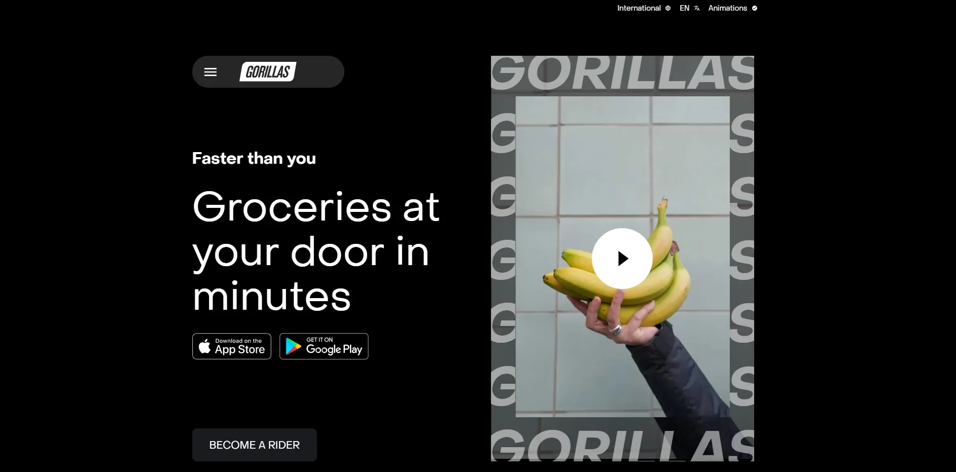 Gorillas